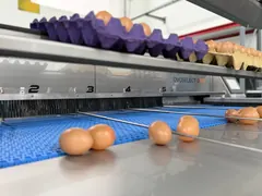 OvoSelect D101 görsel 5